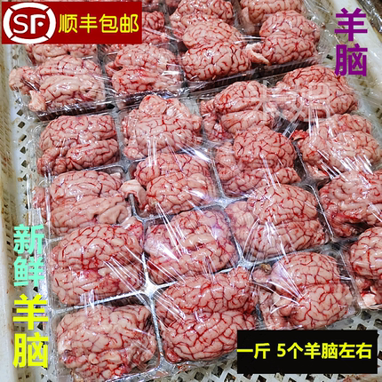 新鲜羊脑子 生鲜羊脑花火锅饭店商用 清真食材冷鲜羊脑髓20斤商用