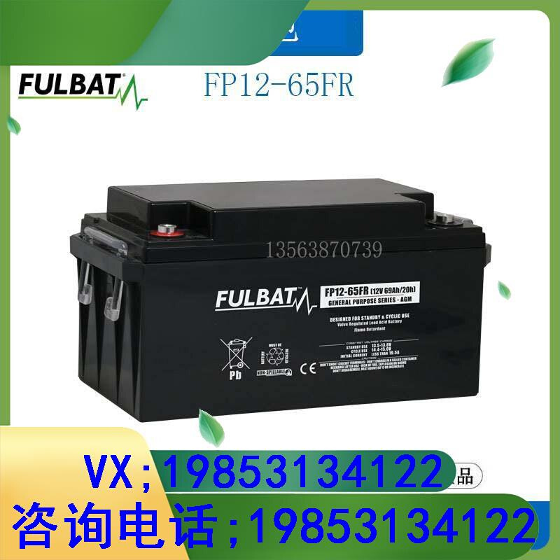 蓄电池((12V65AH20/HR)FP12-65FR消防/UPS应急/直流屏机房