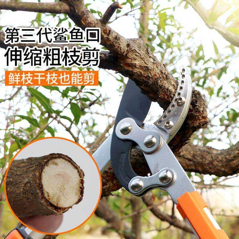 朗祺花剪园艺剪刀绿篱剪工具草坪修剪修枝剪花草树枝剪粗枝园林
