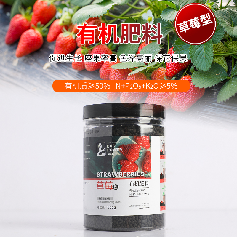 草莓肥料专用肥营养液家用盆栽有机通用复合肥生长期瓜果花肥颗粒