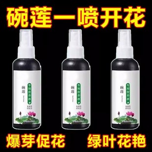 碗莲营养液水培植物专用肥料爆芽促花长效缓释睡莲荷花盆栽水溶肥