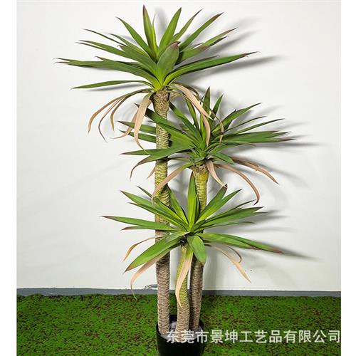 仿真剑麻盆栽北欧人造绿植仿真荷兰铁道具供应仿真龙血树源厂
