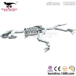 蛇年大型仿真霸王龙化石骨架恐龙模型摆件电影道具制作美陈.