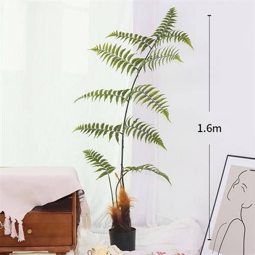 仿真盆栽禅意造景落地猴头蕨类盆景室内装饰假树仿真绿植