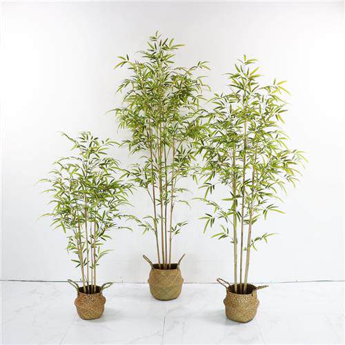 仿真竹子假竹子细水竹毛竹室内装饰绿植盆景盆栽造景植物手感竹叶