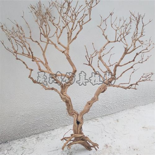仿真枯树枝许愿树树杆造型室内外装饰影视假枯树树杆造景装饰树