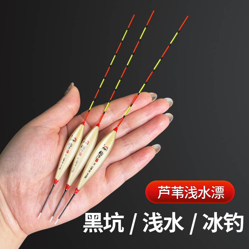 打浮芦苇浅水漂草洞短漂醒目高灵敏轻口钓鱼漂野钓黑坑短脚漂冰钓