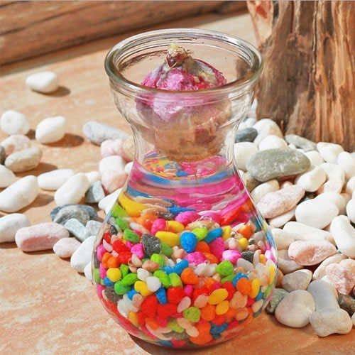 七色可选玻璃花瓶透明风信子绿萝花盆客厅室内水培水养植物器皿