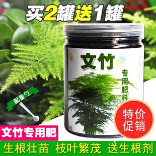 文竹植物专用土培营养液有机肥肥专用文竹云竹富贵竹棕竹植物花肥