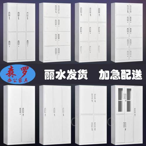 新品。丽水钢制办公文件柜铁皮档案资料柜财务会计凭证收纳柜工具