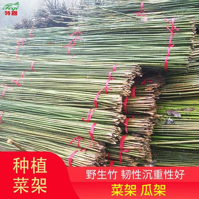 小竹子细竹竿竹竿子竹栅栏竹杆子种菜种植架葡萄架子家用细竹子