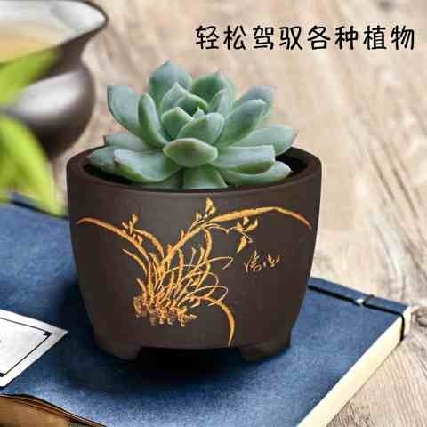 兴紫砂精品小型古典花盆圆形透气盆兰花多花卉绿植专用