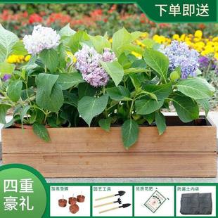 长方形花盆长条型深高盆窗台窄木头北欧简约围栏栅栏杆防腐花箱