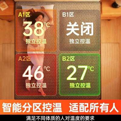 2025新款石墨烯电热毯单人双人电褥子调温家用宿舍省电水洗除螨垫