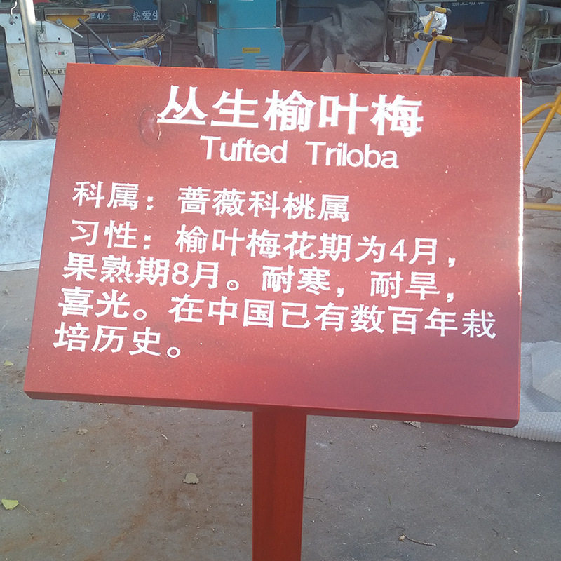 专业生产实木雕刻植物标识牌