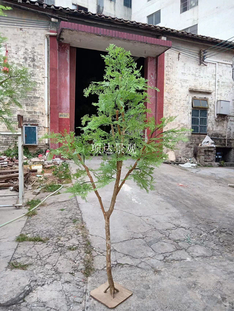 仿真扁柏树中式餐厅庭院园林小区落地造景装饰假绿植人造假侧柏树