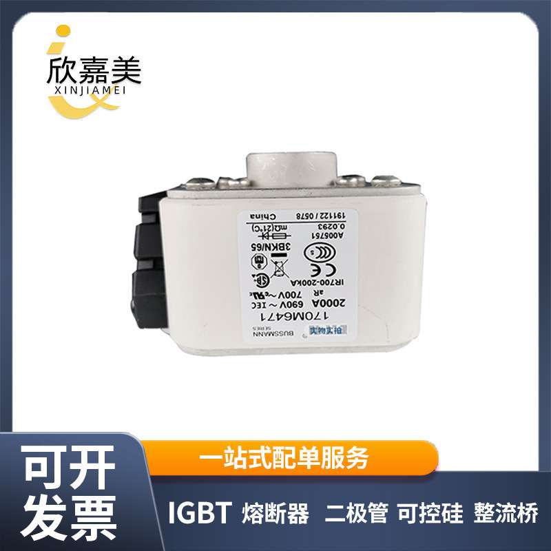 170M6471  170M6498  快速熔断器  保险丝 电子元器件 量大价优