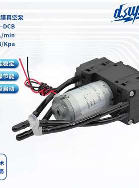 DISEN 双头真空泵小型小型负压泵隔膜泵气体采集 脱气泵 超静音
