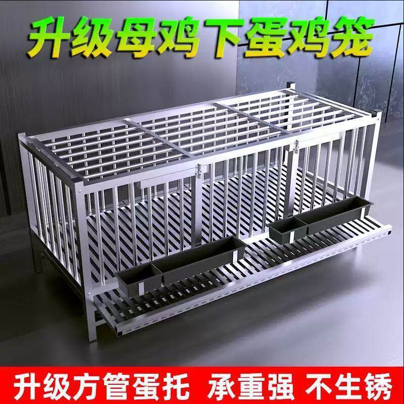 不锈钢鸡笼子家用大号室外阳台养殖下蛋笼家养鸡鸭鹅防啄自动滚蛋