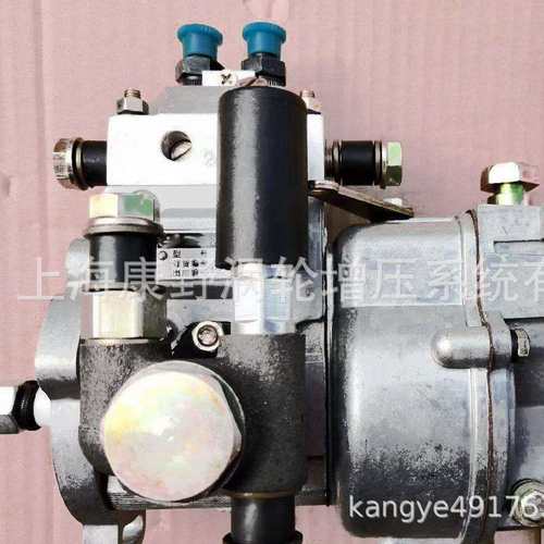 2缸喷油泵2I253和2I319和2I109和2I01和2I10和2IJ01和2IJ20等