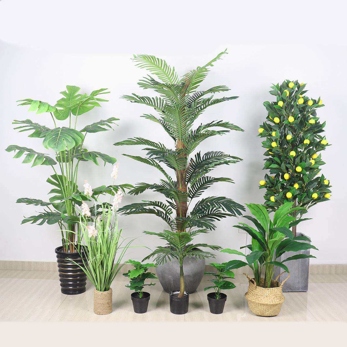 室内装饰假树盆栽影楼造景道具盆景仿真柠檬龟背散尾葵绿色植物树