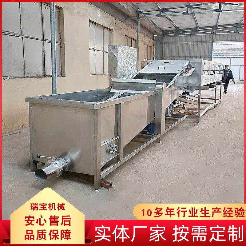 自动化气泡式鲜姜黄姜清洗机餐饮业生姜翻滚清洗流水线去杂质