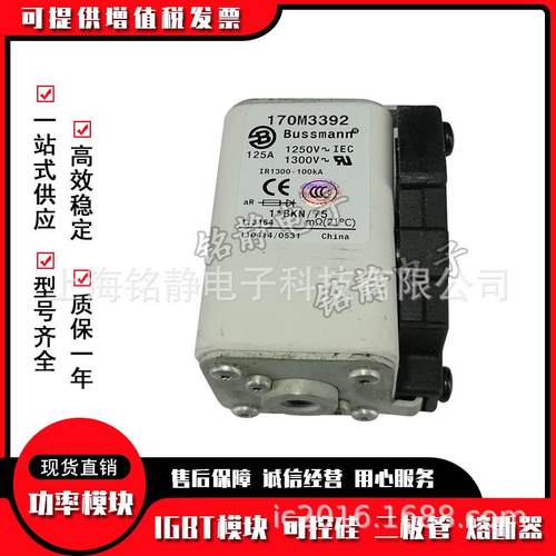 170M3458170M3459170M3460170M3461巴斯曼熔断器170M3462