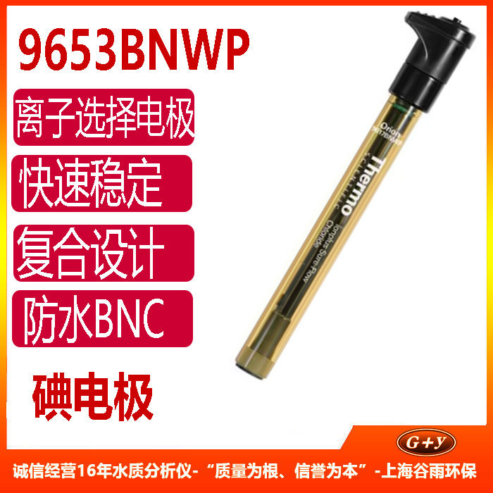 Orion9653BNWP复合离子选择电极