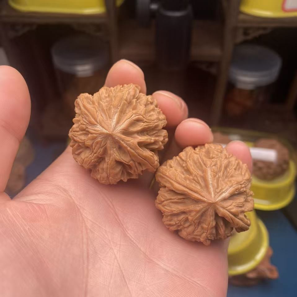 手玩核桃配对全品九尾粗筋,圆润饱满,一核难求的文玩核桃配对佳