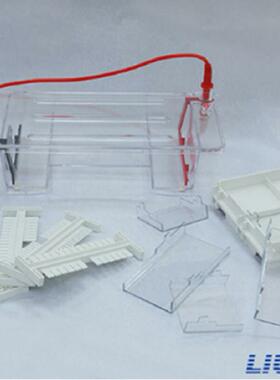 北京六一DYCP-31DN型琼脂糖水平电泳仪