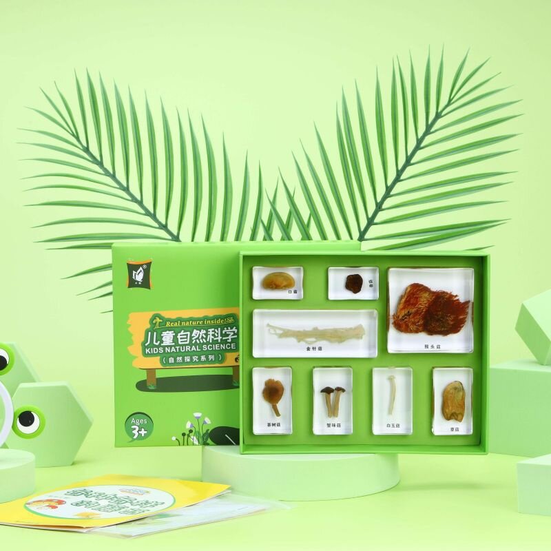 益智玩具昆虫标本儿童科普教学树脂海洋动物植物自然科学