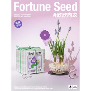 涂鸦造物郁金香风信子桌面盆栽创意水培懒人绿植祝福花卉生日礼物