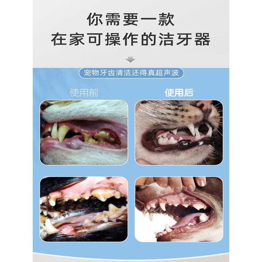 狗狗牙结石去除器宠物超声波洁牙仪猫咪牙齿电动清洁套装洗牙机神