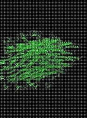 虚拟突变蛋白质关键功能位点活性位点标注分子动力学模拟DFT MS