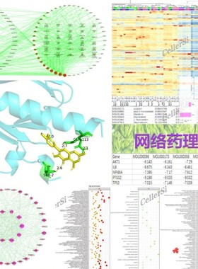 全外显子全基因组重测序数据分析ACMG SNP InDel LOH CNV生信分析