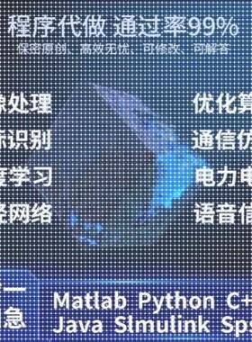 matlab代码帮做python程序代做优化算法通信语音图像处理彷真编程
