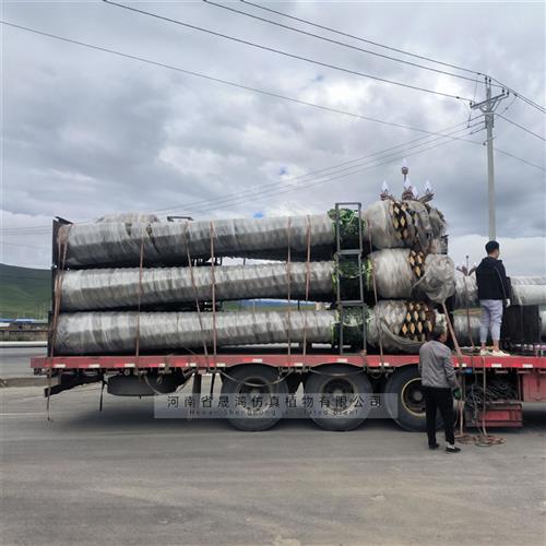 仿真椰子树大型假树盆栽摆件大王椰景观装饰棕榈树户外海藻树