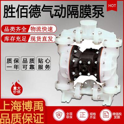 SANDPIPER美国胜佰德S1FB3P1PPUS000气动隔膜泵1寸球阀塑料泵DN25
