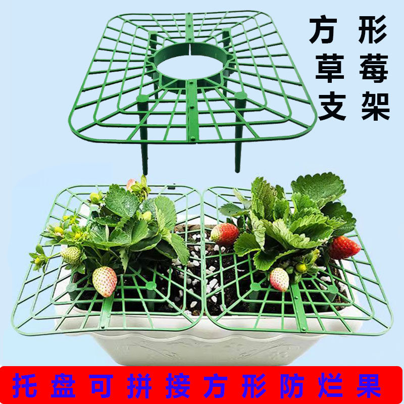 速发草莓立体盘培架架植托种方形盆栽培草莓托栽架支架防烂水培草