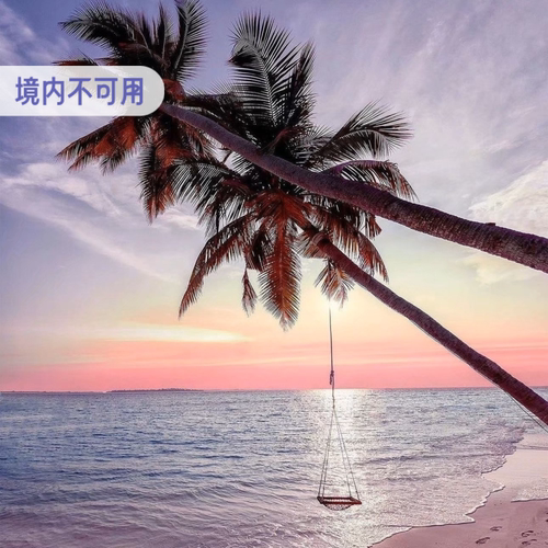 中国移动号码可冲 免换卡 包天限速后不限量 下单联系客服 快速充值
