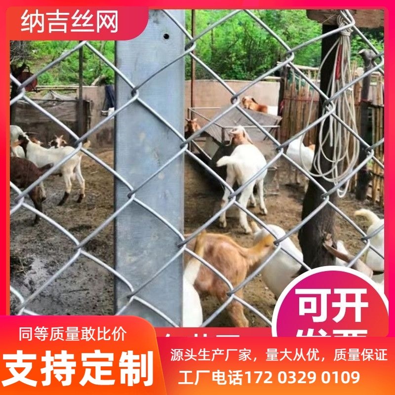 钢丝网围栏养殖勾花网养鸡猪狗网圈地围栏网果园防护网镀锌网格网,五金/工具,护栏/隔离栏,淘宝优惠券,粉丝福利购,淘宝优惠卷