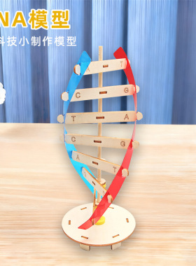 diy科技小制作人体基因DNA双螺旋模型 生物科学实验器材科普教具