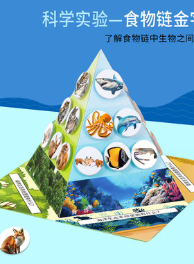 科学实验食物链金字塔diy科技小制作 儿童手工学生生物材料包套装