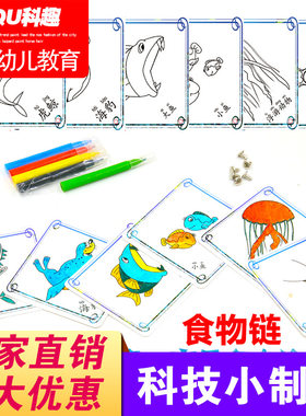 科学实验diy食物链科技小制作幼儿园学生儿童手工作业材料包 创意
