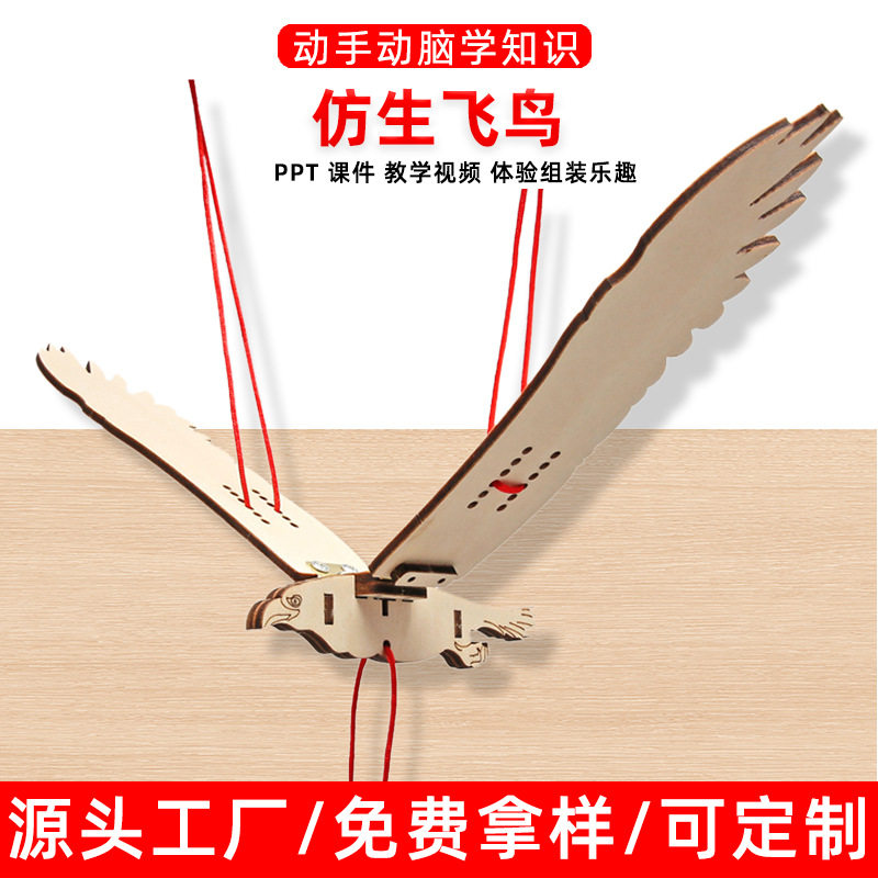 diy科技小制作仿生飞鸟儿童科学实验幼儿园可玩教具科普器材,玩具/童车/益智/积木/模型,科学实验,淘宝优惠券,粉丝福利购,淘宝优惠卷
