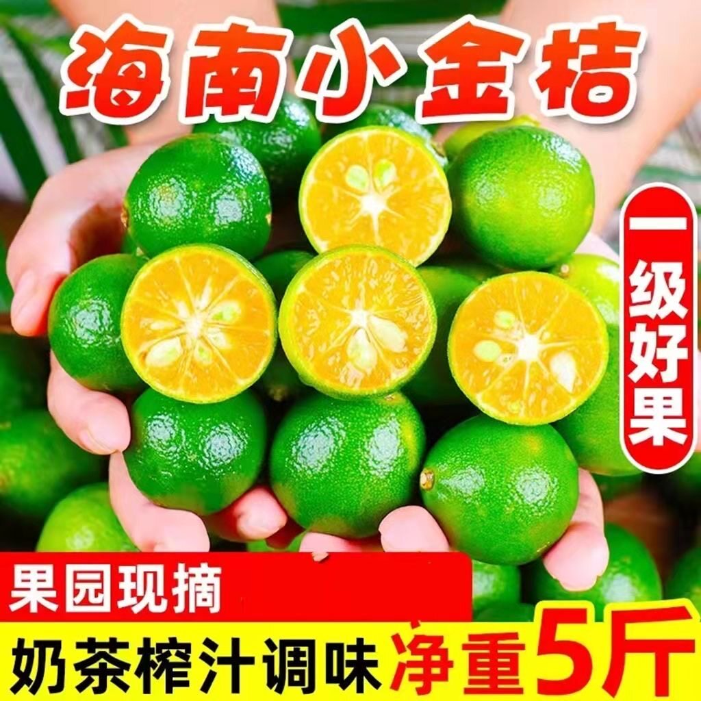 海南小金桔新鲜5斤整箱