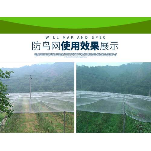 防JGA网鸟网果鸟园果树泥葡萄樱桃防护网尼龙防网鳅青蛙鱼塘防鸟