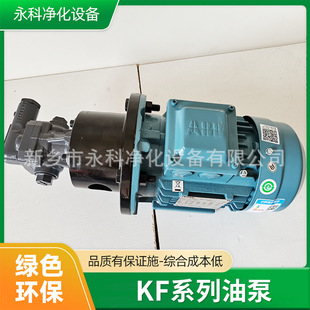 00AAE0 A0ZV0 GDW D15输油泵齿轮油输送泵循环泵 KF25 6F10