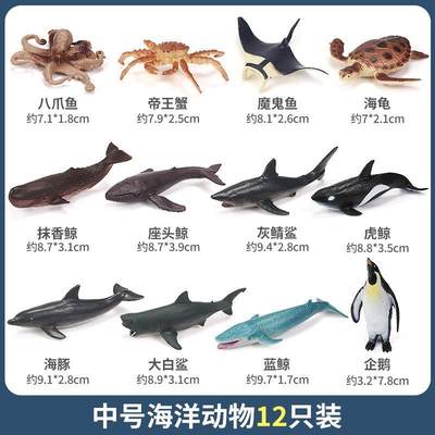 仿真海洋动物玩具海底生物世界模型小号迷你鲨鱼海豚螃蟹儿童套装