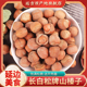 长白松牌山榛子东北特产开口大榛子坚果零食送榛子开壳器非野生